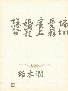 隐婚蜜爱偏执老公宠上瘾txt