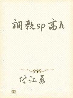 调教sp高h