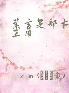 叶玄是哪本小说主角