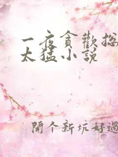 一夜贪欢总裁别太猛小说