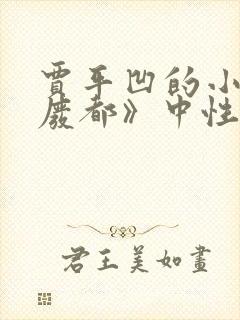 贾平凹的小说《废都》中性描写的是什么