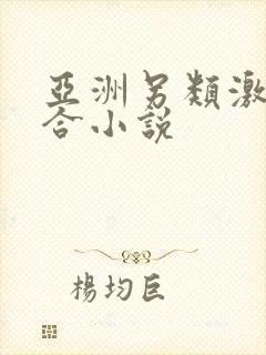 亚洲另类激情综合小说