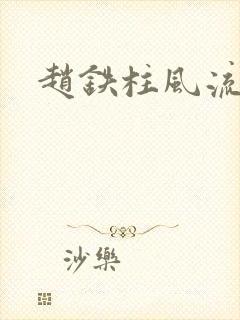 赵铁柱风流小说