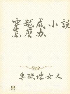 穿越成小说反派怎么办