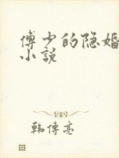 傅少的隐婚私妻小说