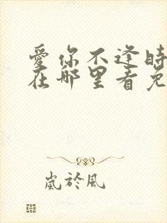 爱你不逢时短剧在哪里看免费