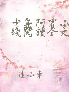 少年阿宾小说在线阅读全文免费