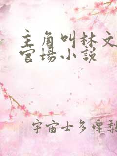 主角叫林文涛的官场小说