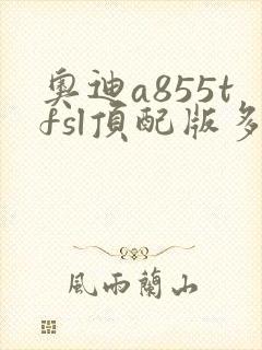 奥迪a855tfsl顶配版多少钱