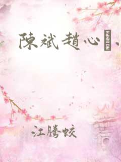 陈斌赵心睸小说