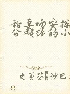 甜妻吻安总裁老公超棒的小说 甜妻吻安总裁老公超棒的小说