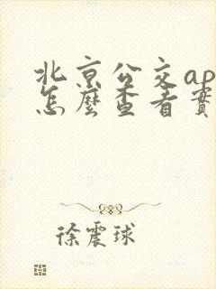 北京公交app怎么查看实时公交