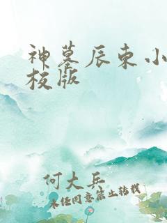 神墓辰东小说精校版