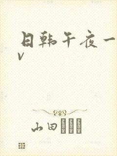 日韩午夜一级av