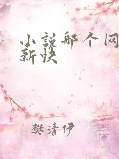 小说哪个网站更新快