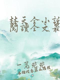 林天全小说免费阅读全文最新章节 林天全小说免费阅读全文最新章节