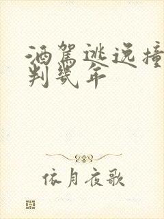 酒驾逃逸撞死人判几年