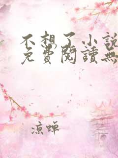 不想了小说全文免费阅读无弹窗