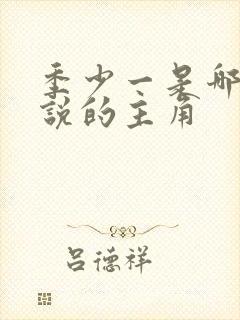 季少一是哪部小说的主角