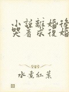 小说离婚后前夫哭着求复婚全文阅读