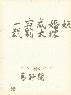 一宠成婚妖孽总裁别太坏