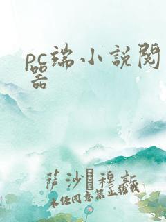 pc端小说阅读器 pc端小说阅读器