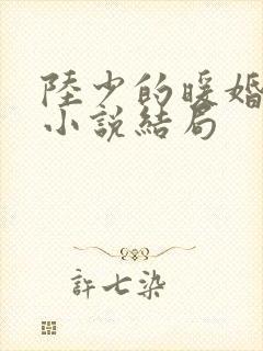 陆少的暖婚新妻小说结局