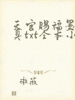 天官赐福墨香铜臭txt全本小说