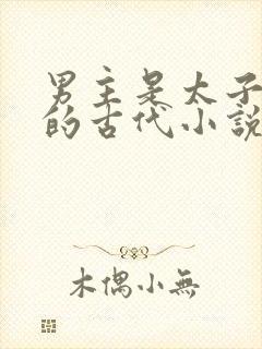 男主是太子姓裴的古代小说