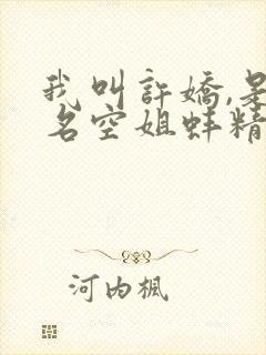 我叫许娇,是一名空姐蚌精小说
