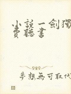 小说一剑独尊免费听书