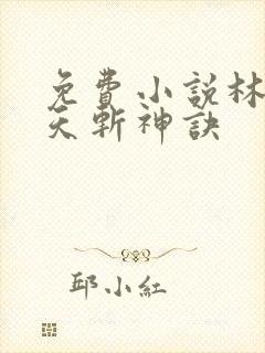 免费小说林辰九天斩神诀