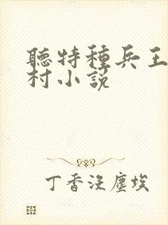 听特种兵王在山村小说