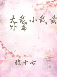 大武小武黄蓉番外篇