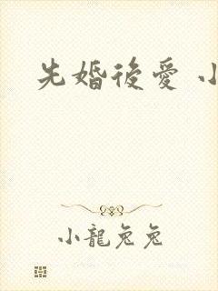 先婚后爱 小说