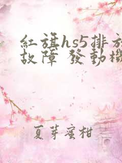 红旗hs5排放故障 发动机故障灯亮 红旗hs5排放故障 发动机故障灯亮