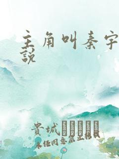 主角叫秦宇的小说