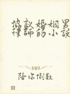 协议婚姻男主是律师的小说
