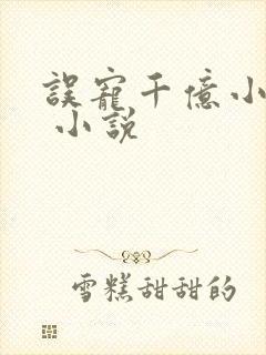 误宠千亿小甜妻 小说
