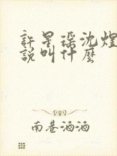 许星瑶沈煜安小说叫什么