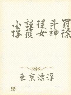 小说从斗罗开始俘获女神徐然/朱竹清全文阅