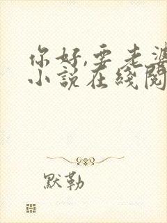 你好,要老婆吗小说在线阅读