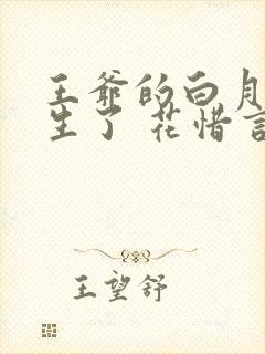 王爷的白月光重生了 花惜言