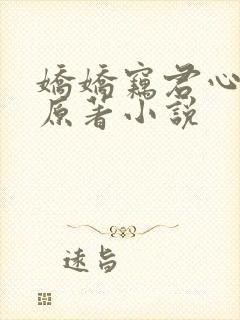 娇娇窃君心小说原著小说