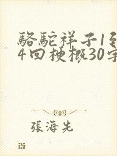 骆驼祥子1到24回梗概30字