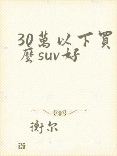30万以下买什么suv好