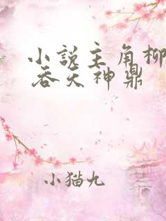 小说主角柳无邪 吞天神鼎