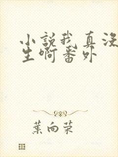 小说我真没想重生啊番外