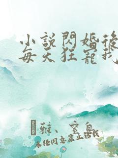 小说闪婚后大叔每天狂宠我
