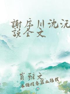 谢序川沈沅珠小说全文
